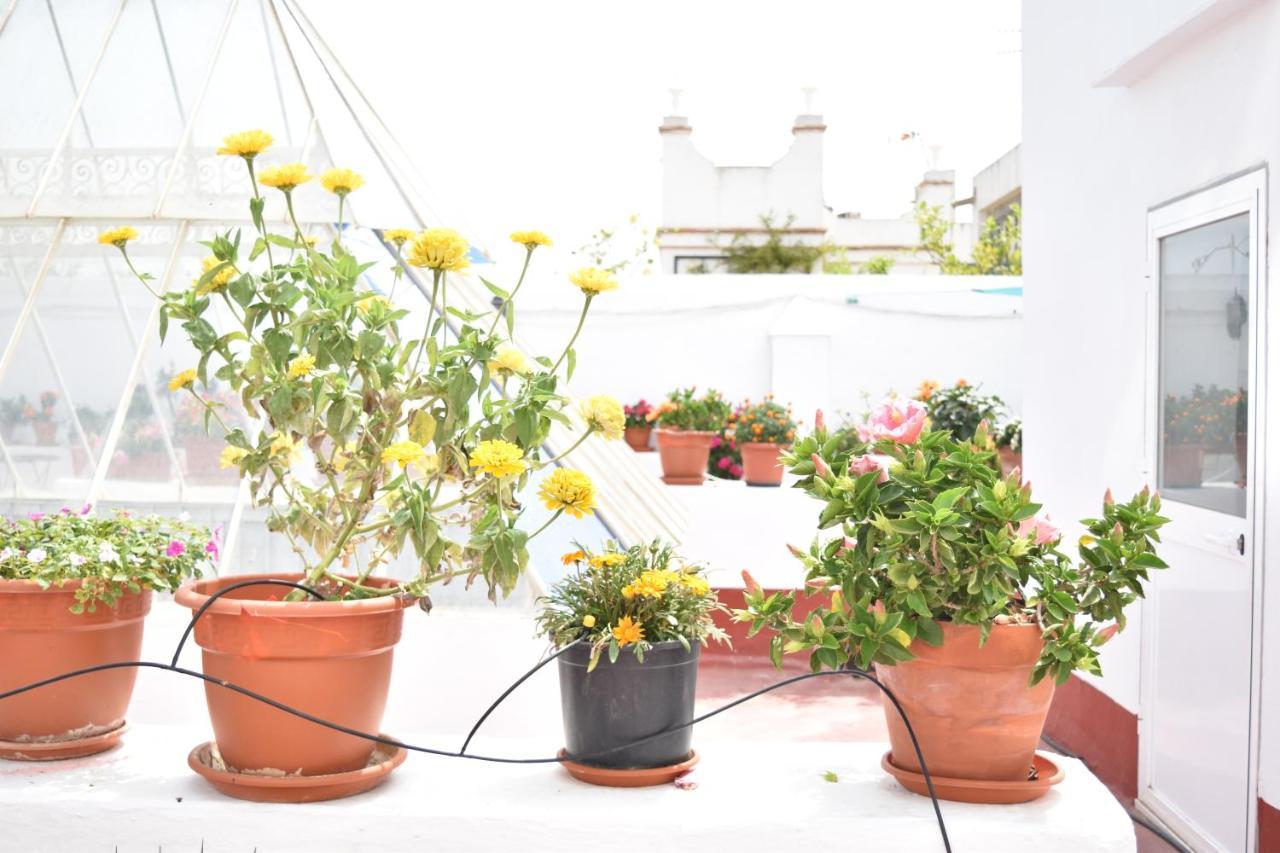 Apartamento La Discusion De Veedor 12 Cádiz Kültér fotó