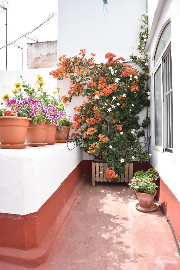 Apartamento La Discusion De Veedor 12 Cádiz Kültér fotó